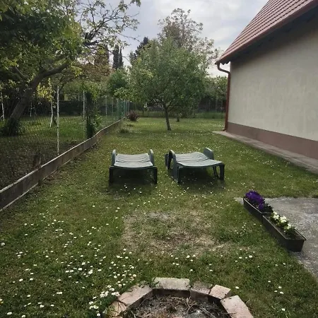 Hattyú